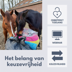 Belang van keuzevrijheid bij het trainen van paarden met R+