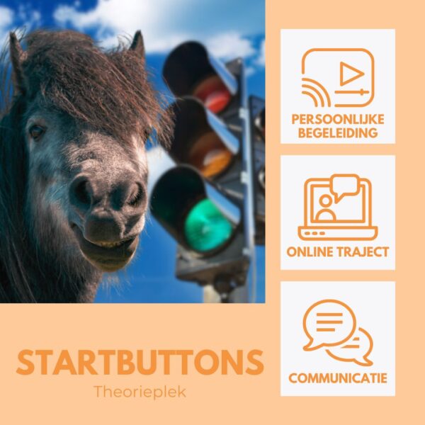 Startbuttons | Traject - theorieplek