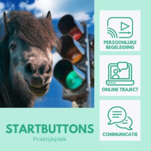 Startbuttons | Traject - praktijkplek