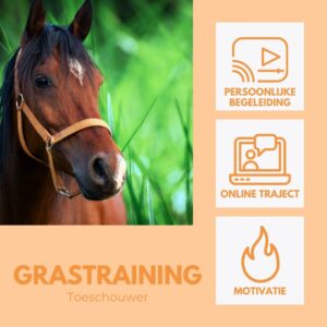 Grastraining | Traject - toeschouwer