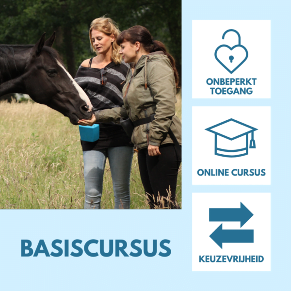 Basiscursus trainen met keuzevrijheid en positieve bekrachtiging, clickercursus