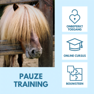 Pauze training met R+ webshop afbeelding