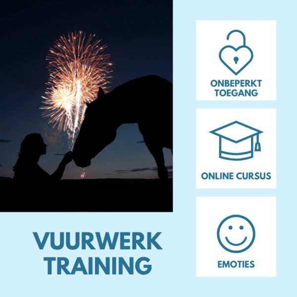 Vuurwerktraining webshopafbeelding